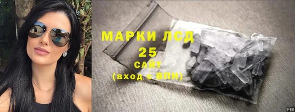 ГАЛЛЮЦИНОГЕННЫЕ ГРИБЫ Магас