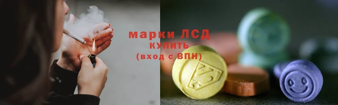 ГАЛЛЮЦИНОГЕННЫЕ ГРИБЫ Магас