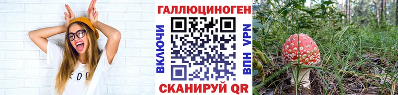 Псилоцибиновые грибы GOLDEN TEACHER  Купить  Ирбит 